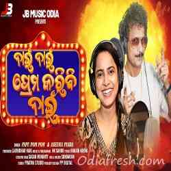 Nai Nai Prema Karibi Nai